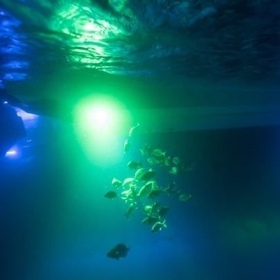 Éclairage sous-marin pour bateau - 01212 series - OceanLED - à LED / montage en surface / intégré