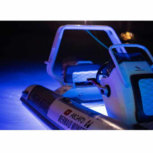 Éclairage sous-marin pour bateau - HTL-720PAC - HURLEY MARINE - à LED / passe-coque