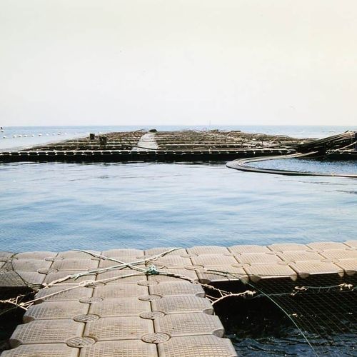 Ponton flottant - 12 series - JETFLOAT INTERNATIONAL - modulable / d'amarrage / pour l'aquaculture