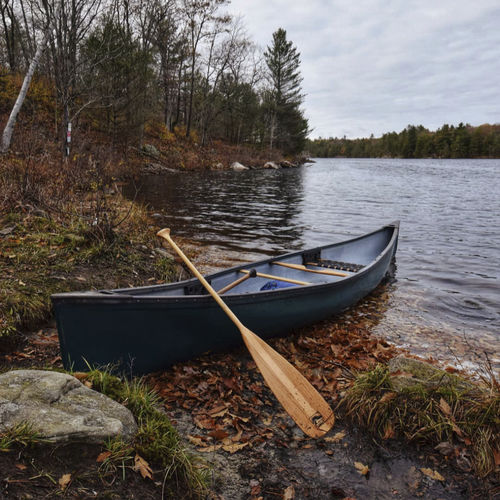 Pagaie pour canoë - Beavertail - Bending Branches - de loisir / symétrique / simple