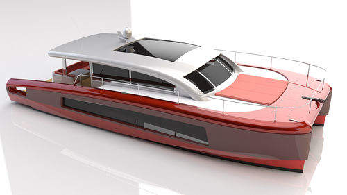 Vedette catamaran - 50 - ERYD YACHTS - in-bord / bimoteur / hard-top