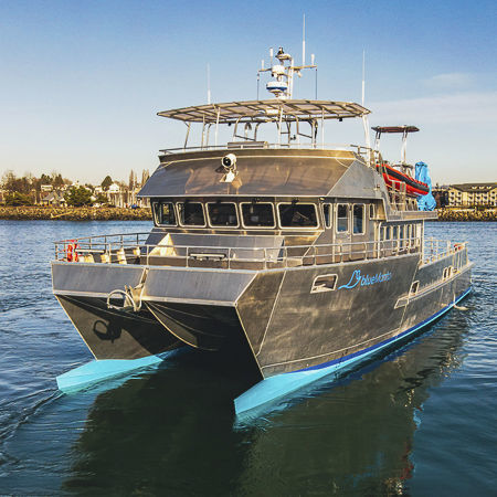 Bateau de recherches et d'études - 73′ - All American Marine - catamaran / in-bord / en aluminium