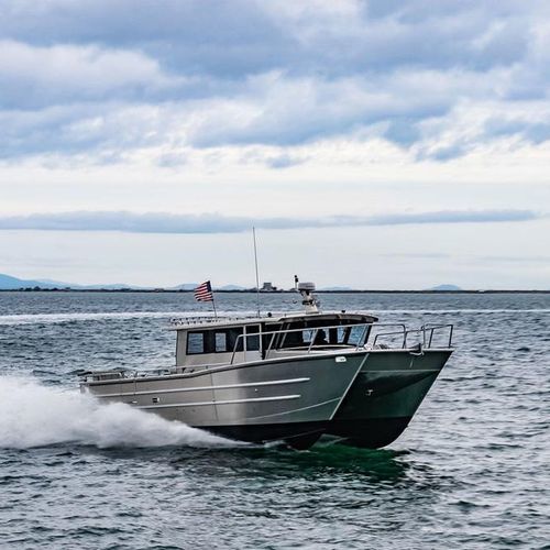 Bateau de pêche professionnelle - 4216-CTC - Armstrong Marine - catamaran / in-bord / diesel