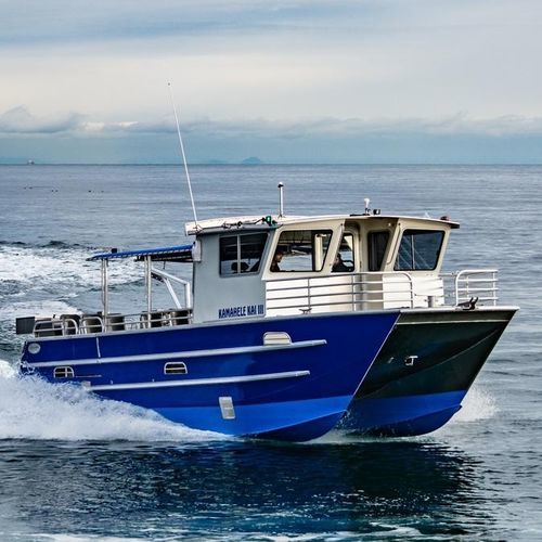 Bateau promenade - 3513-CTC | PaxCat - Armstrong Marine - catamaran / hors-bord / en aluminium