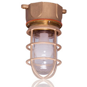Plafonnier d'intérieur - ProGuard 717/718/br - Cooper Crouse-Hinds Pauluhn - pour navire / ampoule à incandescence