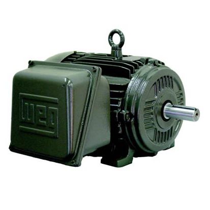 Moteur in-bord - W21 TEFC IP55 - Weg Electric Motors - électrique / pour navire / pour bateau professionnel