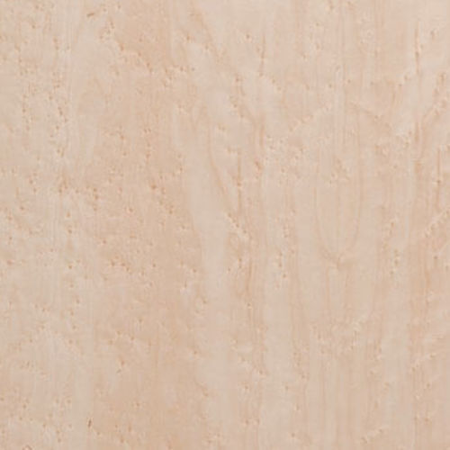 Panneau de placage - Knotty Maple - Kuiper Holland - Superyacht Interior Panels - en bois