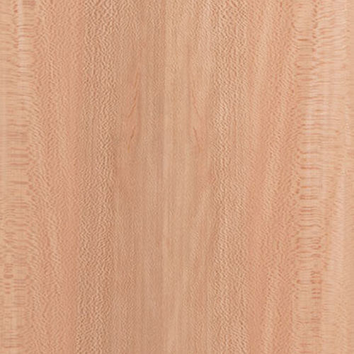 Panneau de placage - Sycamore - Kuiper Holland - Superyacht Interior Panels - en bois