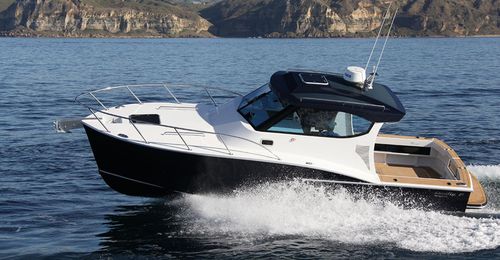 Cabin-cruiser in-bord - SEMIFLY 28 - Dickey Boats Limited - open / de pêche sportive