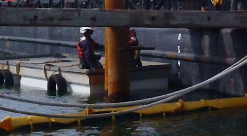 Ponton flottant - AccuDock - de travail / pour marina / en aluminium