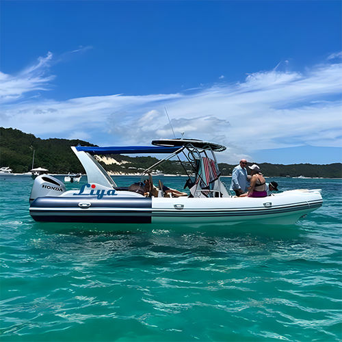Bateau pneumatique hors-bord - RIB750-C - Qingdao Lian Ya Boat Co.,Ltd. - essence / bimoteur / semi-rigide