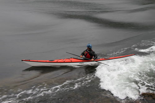 Kayak de randonnée sportive - Raven  - Eddyline Kayaks - de mer / pour adulte / monoplace