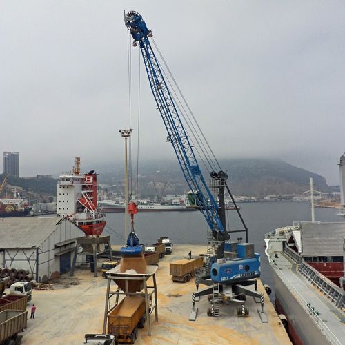 Grue portuaire - LHM Series - Liebherr-International Deutschland - mobile / à flèche relevable