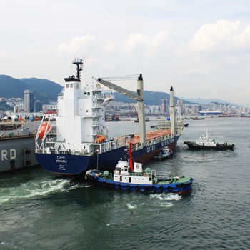 Cargo porte-conteneurs - DAE SUN SHIPBUILDING