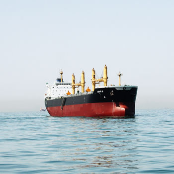 Cargo vraquier - DAE SUN SHIPBUILDING - Panamax