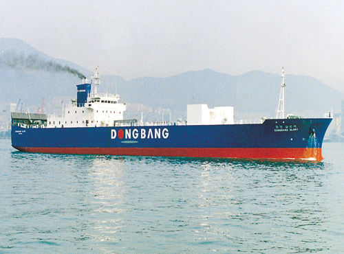 Cargo Ro-Ro - DAE SUN SHIPBUILDING