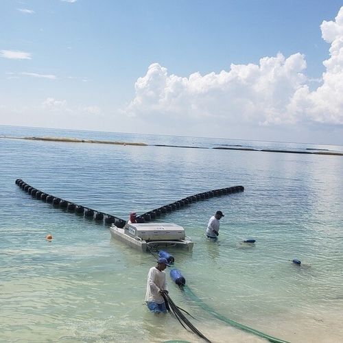 Écrémeur d'hydrocarbures à bande - Seaweed  - Desmi - pour eau calme