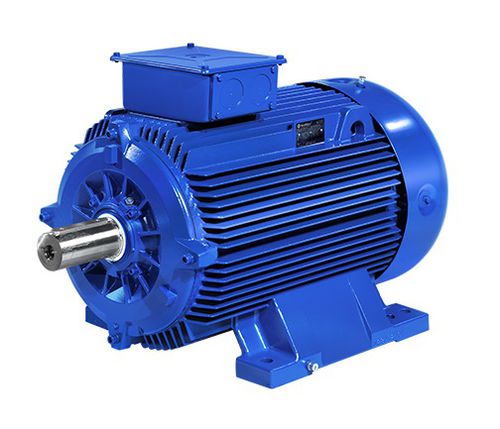 Moteur in-bord - A5M - B5M - Marelli Motori - électrique / pour navire / multiusage