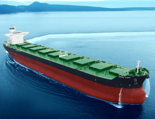 Cargo vraquier - K Shipbuilding - Handysize