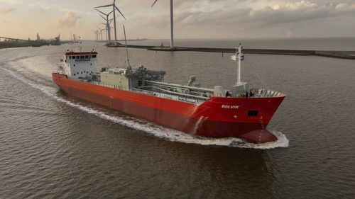 Cargo cimentier - Solvik - Royal Bodewes - polaire / hybride