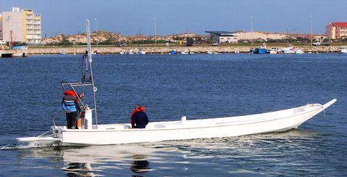 Bateau de pêche professionnelle - PIROGUE 12 - Estaleiros Navais de Peniche - in-bord / GRP