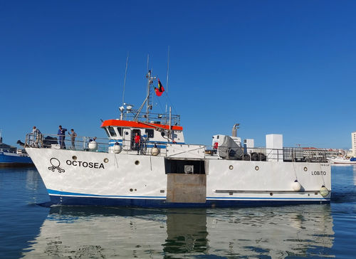 Bateau de pêche polyvalent - OCTOSEA - Estaleiros Navais de Peniche - en composite / à usage polyvalent