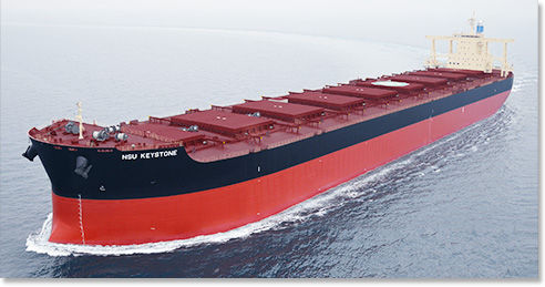 Cargo vraquier - Imabari Shipbuilding Co., Ltd. - Capesize
