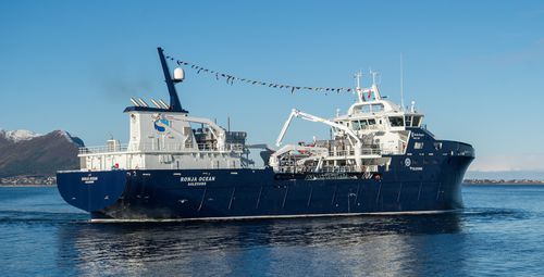 Navire de pêche chalutier - RONJA OCEAN - Kleven Maritime AS - transporteur de poissons vivants