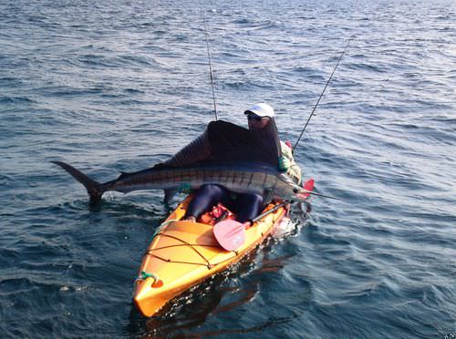 Kayak sit-on-top - CATCH 420 EXP - Mission Kayaking - de pêche / pour adulte / monoplace
