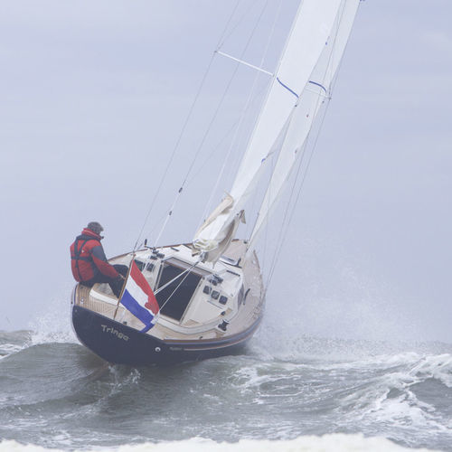 Voilier de croisière - SC 8 M  - Saffier Yachts - traditionnel / daysailer / 1 cabine