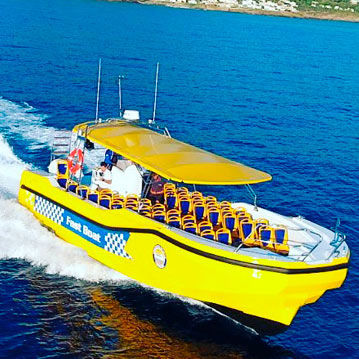 Bateau à passagers - 50 - QUER PROFESSIONAL BOATS - bateau de support pour la plongée / stern-drive / Z-drive