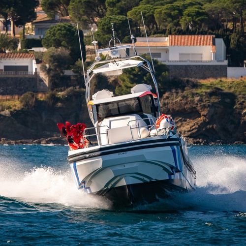 Bateau de recherches et d'études - Q80 Explorer - QUER PROFESSIONAL BOATS - in-bord / en composite armé de fibres de verre / en carbone