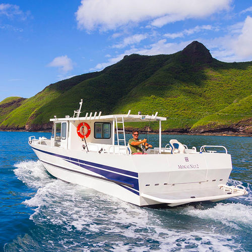Bateau à passagers - H40 : 10.80 MOKAI NUI 2 - ODC MARINE - in-bord / en aluminium