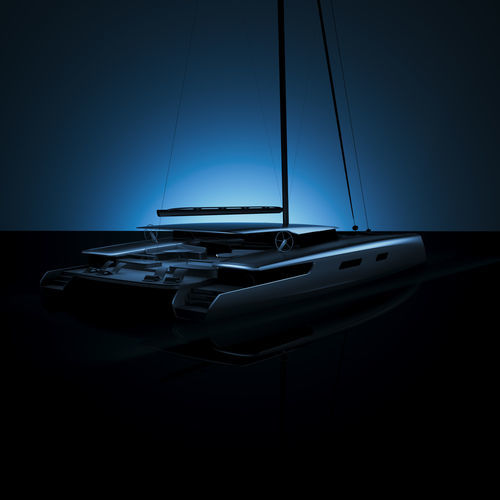 Sailing-yacht catamaran - C.100 - Black Pepper Yachts - course-croisière / à cockpit ouvert / en carbone