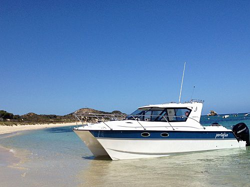 Vedette catamaran - 32RS - ArrowCat Marine - hors-bord / de pêche sportive