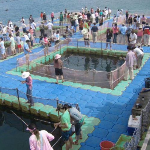 Ponton flottant - OTTO - modulable / d'amarrage / pour la pêche