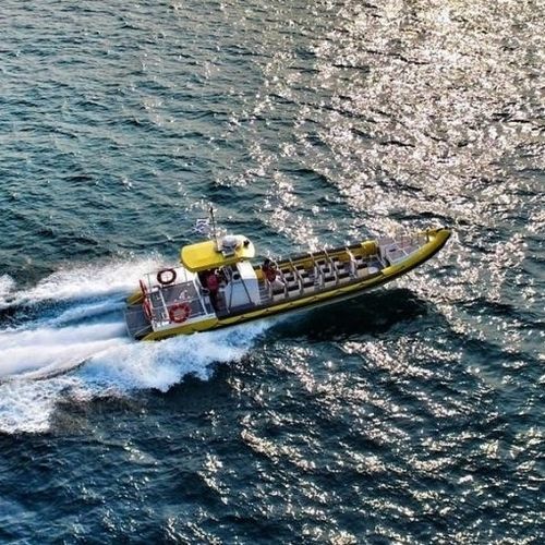 Bateau de surveillance - 12.5M - Tornado Boats - bateau de sauvetage / bateau promenade / bateau utilitaire