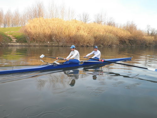 Bateau d'aviron de course - Wing Series - SALANI costruzioni nautiche S.n.c. - deux de pointe / sans barreur
