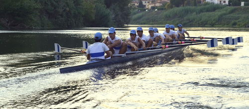 Bateau d'aviron de course - Wing Series - SALANI costruzioni nautiche S.n.c. - huit de pointe / avec barreur