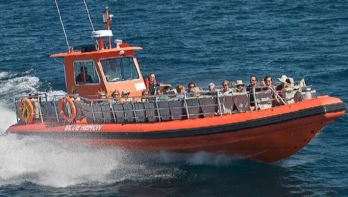 Bateau à passagers - Zephyr - Hike Metal Products - in-bord hydrojet / bateau pneumatique semi-rigide