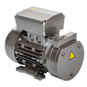 Pompe à vide pour navire - 3 S - Bgs General Srl - pour chantier naval / électrique / 12 V
