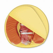 Kit de sauvetage pour bateau - 50026 - SeaCurity GmbH