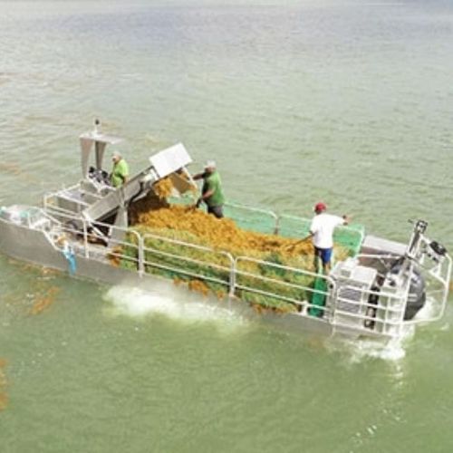 Bateau moissonneur d'algues - Navalu - hors-bord / en aluminium