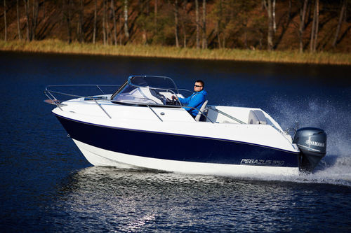Day-cruiser hors-bord - PEGAZUS 550 - Przedsiebiorstwo Uslug Specjalistycznych ''PEGAZUS''  - open / max. 6 personnes