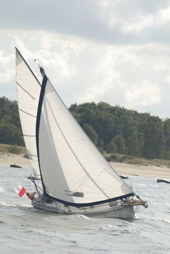Voilier de croisière - 800 - HABER YACHTS Sp. z o.o.  - 5 couchages / à cockpit fermé / bout-dehors