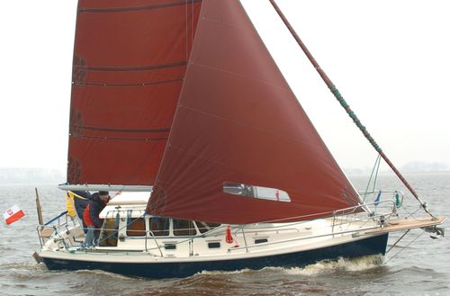Voilier de croisière - 800C4 - HABER YACHTS Sp. z o.o.  - 5 couchages / à cockpit fermé / cotre
