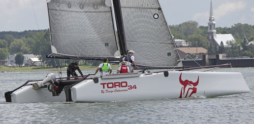 Catamaran - TORO 34S - Design Catamaran Inc - de course-croisière / 4 couchages / remorquable