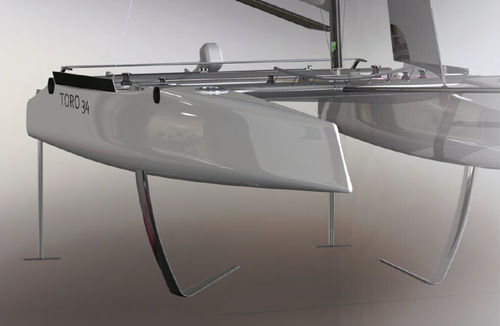 Catamaran - TORO 34R - Design Catamaran Inc - de course / 4 couchages / en carbone