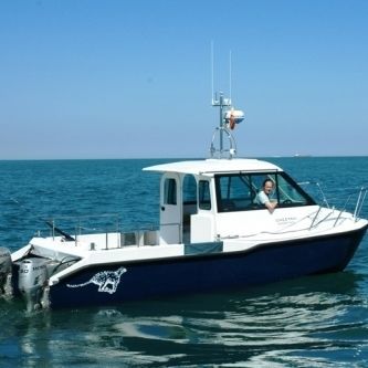 Day-cruiser catamaran - Boblin 2 - Cheetah Marine - hors-bord / bimoteur / avec timonerie