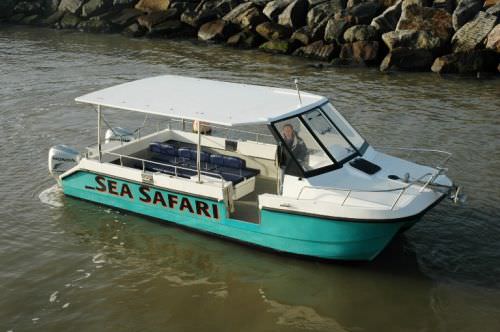 Bateau promenade - Free Spirit - Cheetah Marine - catamaran / hors-bord